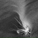 Фотография Селивановой Тани