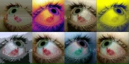 Фотография Шэ Поли