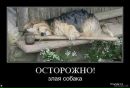 Ростік Косарук фотография #11 (источник - https://vk.com/id133073707)