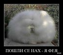 Фотография Лебедевой Екатерины