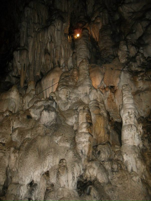 Александр Медведев фотография #43