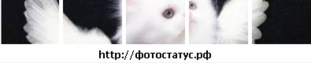 Іванка Мокра фотография #38 (источник - https://vk.com/id64092309)