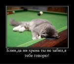 Фотография Муреевой Оли