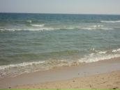 Васько Філей фотография #6 (источник - https://vk.com/id79990357)