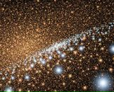 Фотография Бурцева Мария