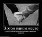 фотография #29