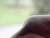 Кароліна Karolina фотография #44 (источник - https://vk.com/id25867737)