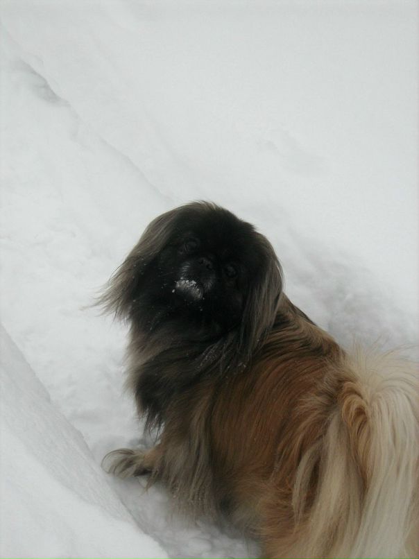 Диана Дяченко фотография #25