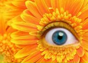 Фотография Козловской Натальи