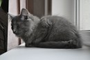 Андрій Казаков фотография #4 (источник - https://vk.com/id77798335)