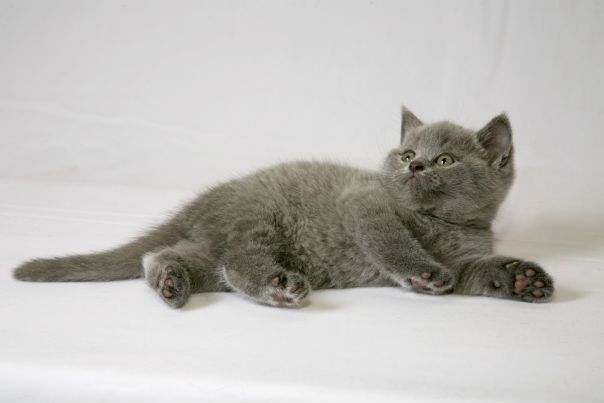 №14, Марина Котова, Тольятти №14, Марина Котова, Тольятти