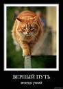 Фотография Гаевой Светланы