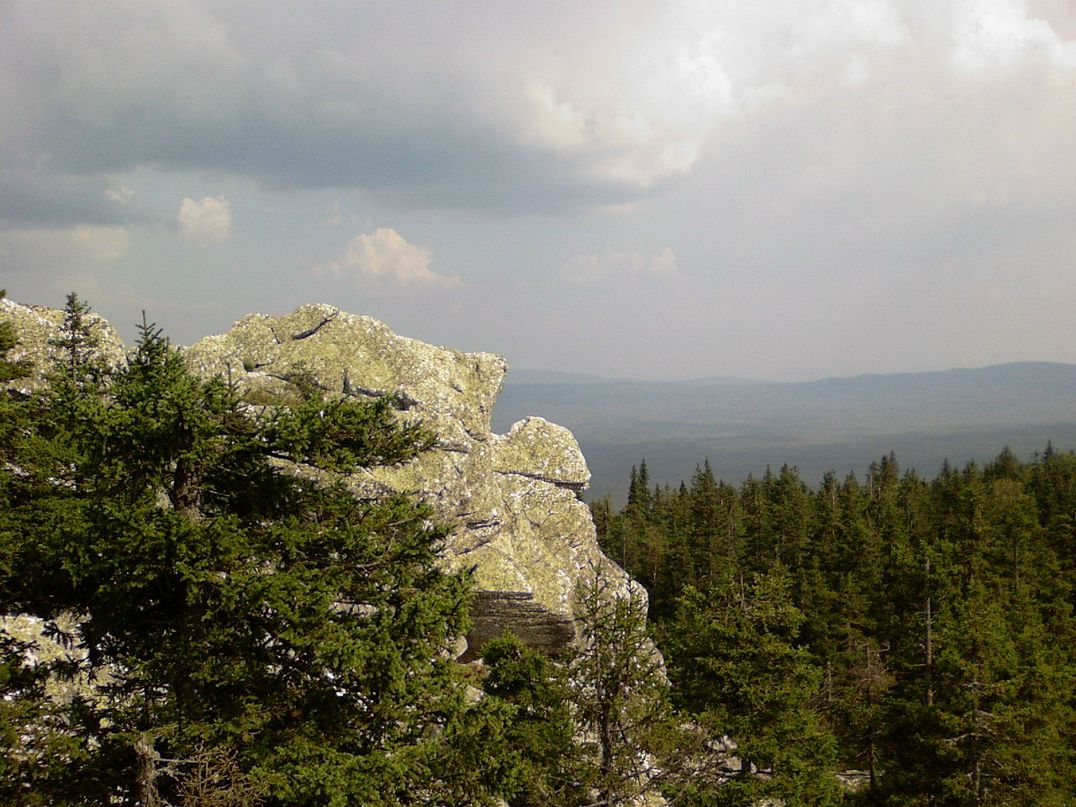 Сергей Козлов фотография #9