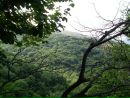 Олег Шуліка фотография #35 (источник - https://vk.com/id152289030)