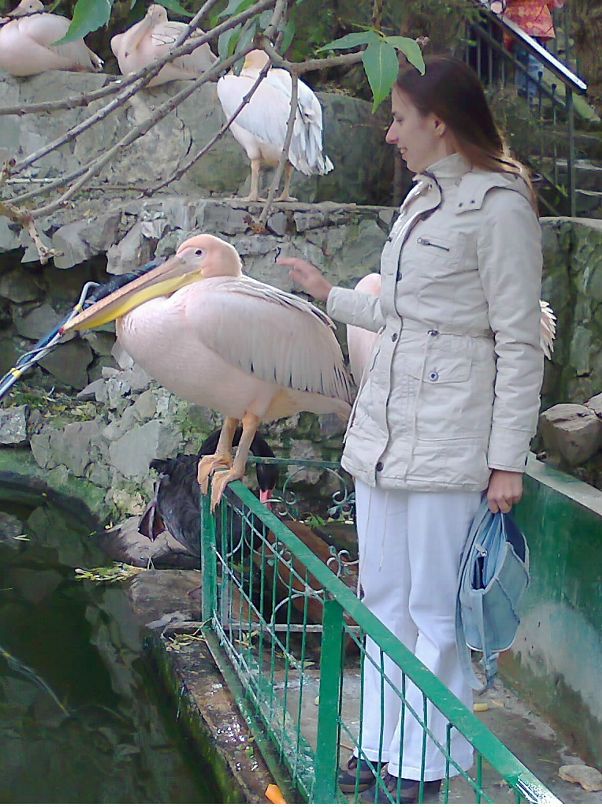 Ольга Путрова фотография #15