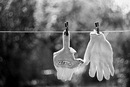 Фотография Гринчик Екатерины