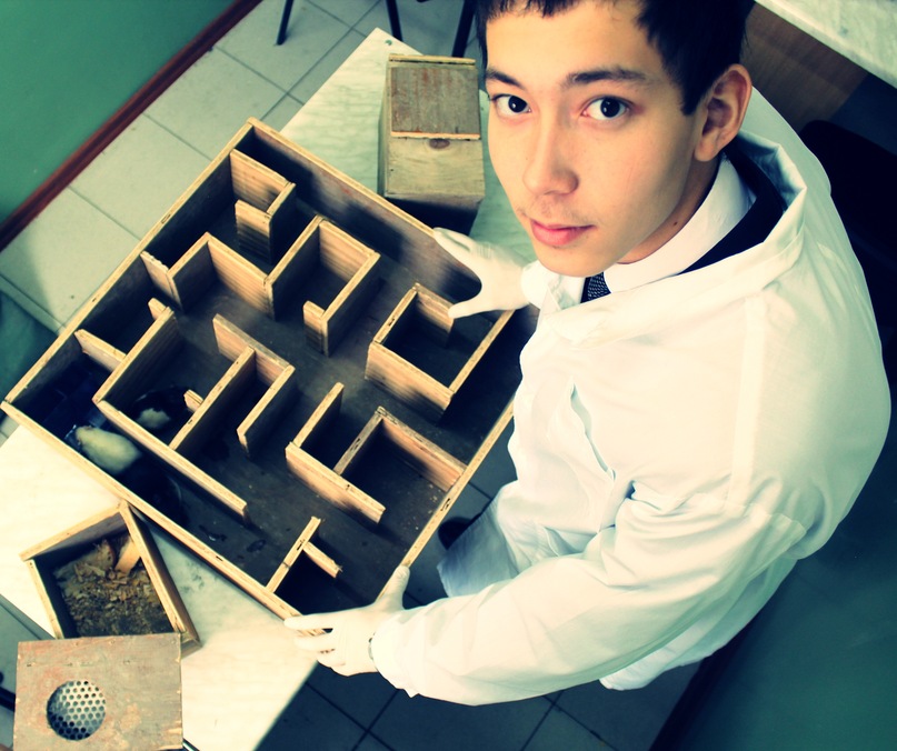 Адильбек Давлетов фотография #45