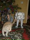 Іра Слипцова фотография #48 (источник - https://vk.com/id147091650)