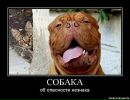 Віталік Вольт фотография #23 (источник - https://vk.com/id2228781)