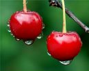 Фотография Порфирьевой Надежды
