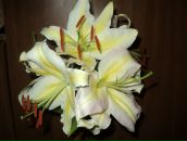 Фотография Бучкиной Ирины