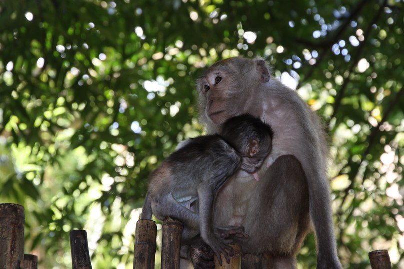 Виктор Викторов фотография #16