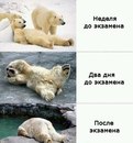 Олександр Улізько фотография #8 (источник - https://vk.com/id136093176)