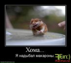 Дмитрій Безкоровайний фотография #39 (источник - https://vk.com/id14321496)