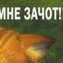 Іван Ткачук фотография #28 (источник - https://vk.com/id133177131)