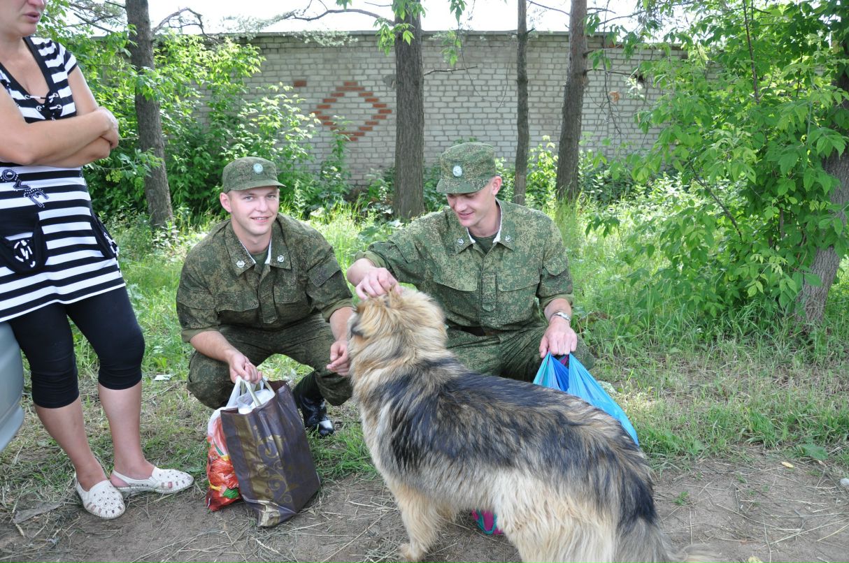 Дмитрий Шабалин фотография #25