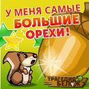 Фотография Ситникова Никиты