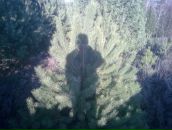 Міша Ярошевський фотография #25 (источник - https://vk.com/id69833166)