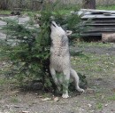 Дима Пилипчук фотография #46 (источник - https://vk.com/id20813129)