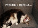 Фотография Павловой Анны