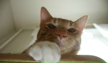 Антон Суслов фотография #24 (источник - https://vk.com/id2014433)