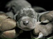 Фотография Maksim-Kalinina Natalija