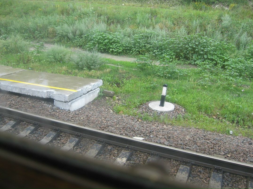 Андрей Тимченко фотография #13