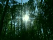 Алесь Войніч фотография #31 (источник - https://vk.com/id6149038)