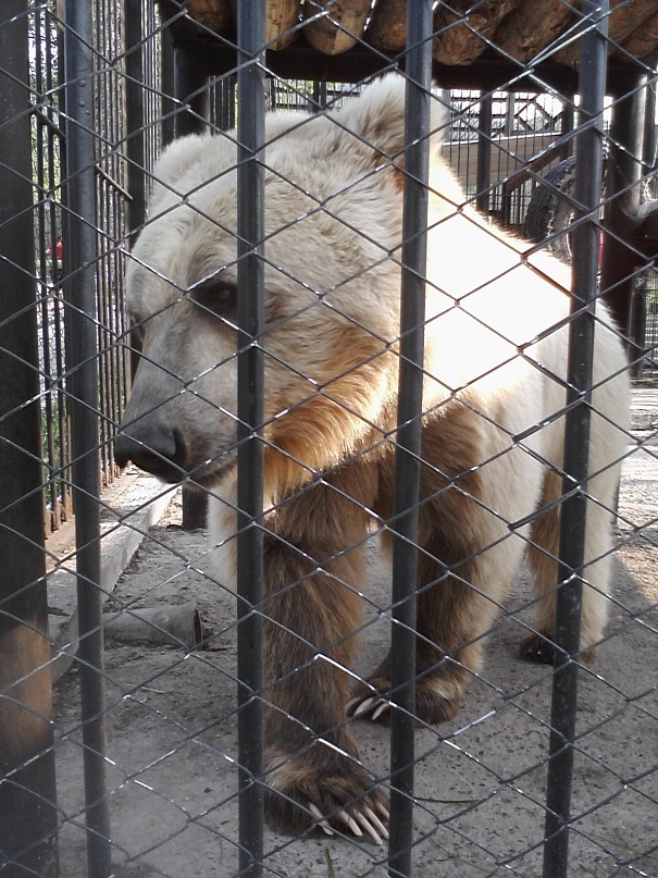 Дмитрий Иост фотография #39