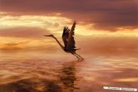 Фотография Ковригиной Елены