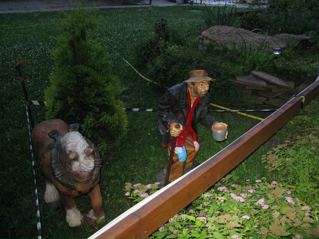 Дмитрий Ермилов фотография #28