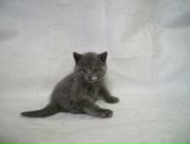 Фотография Франскевич Виктории