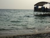 Фотография Душанкиной Насти