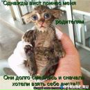 Фотография Ивановой Вероники