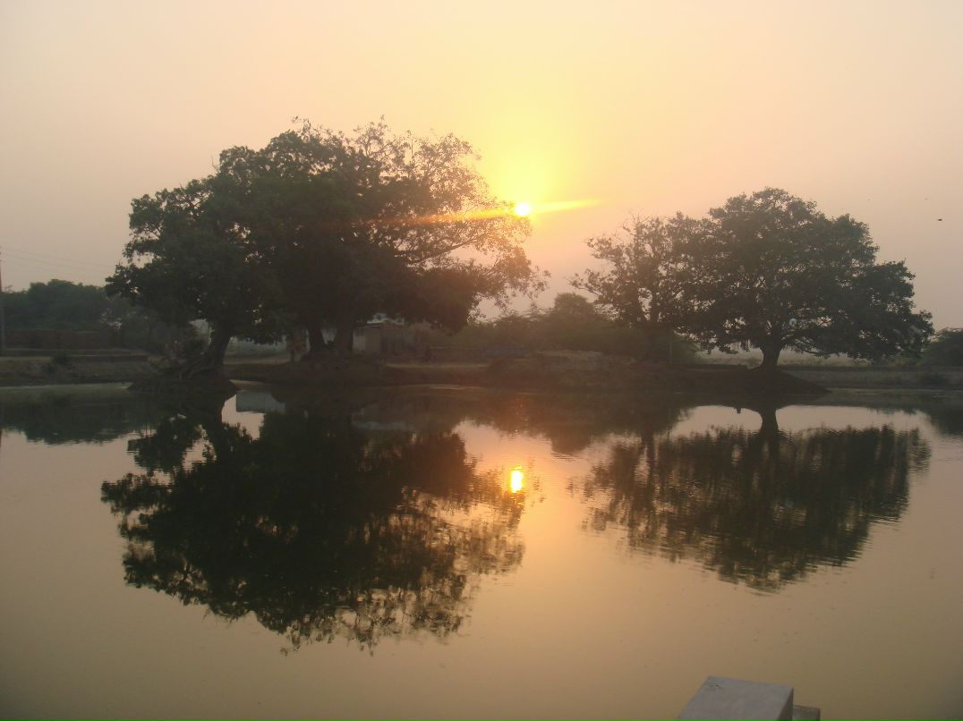 Ирина Романова фотография #3