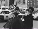 Анастасія Лісова фотография #36 (источник - https://vk.com/id2996269)