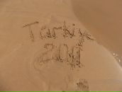 Фотография Новиковой Татьяны