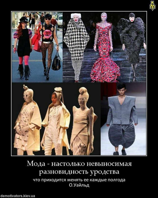 Владимир Швец фотография #9