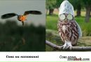 Андрій Самодєлкін фотография #42 (источник - https://vk.com/id141827496)