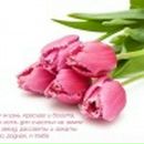 Віка Кривенко фотография #4 (источник - https://vk.com/id64586834)